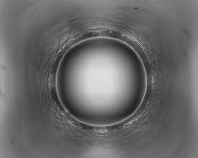 X0000091100965200708061416