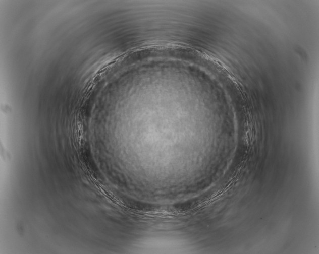 X0000091100966200708061416