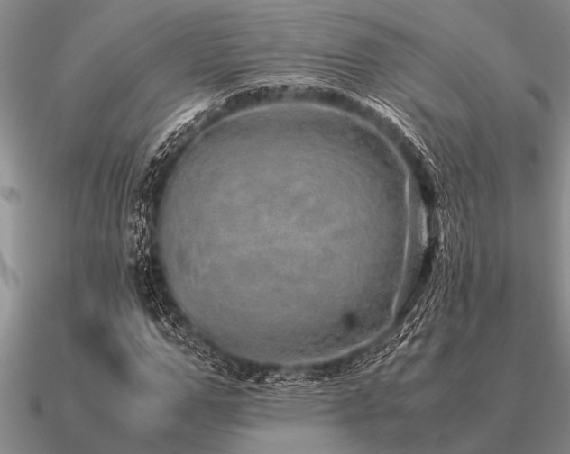 X0000091100967200708061416