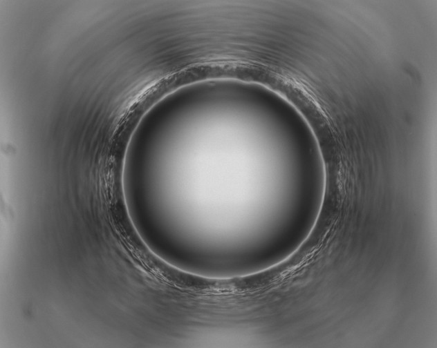 X0000091100968200708061416