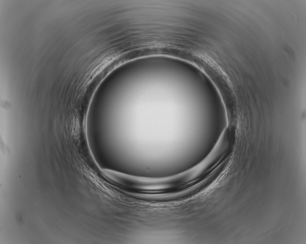 X0000091100969200708061416