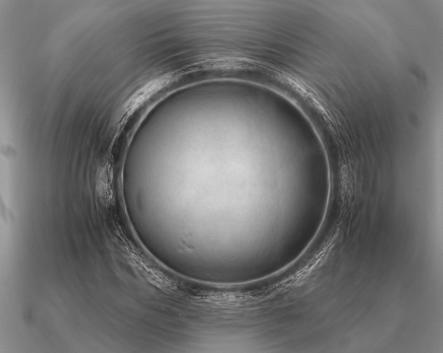 X0000091100970200708061416