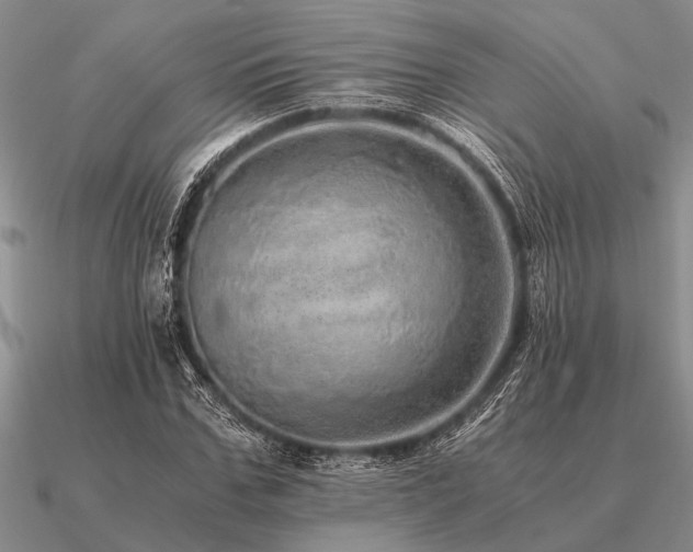 X0000091100971200708061416