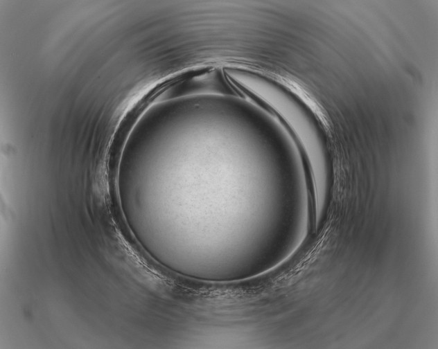 X0000091100972200708061416