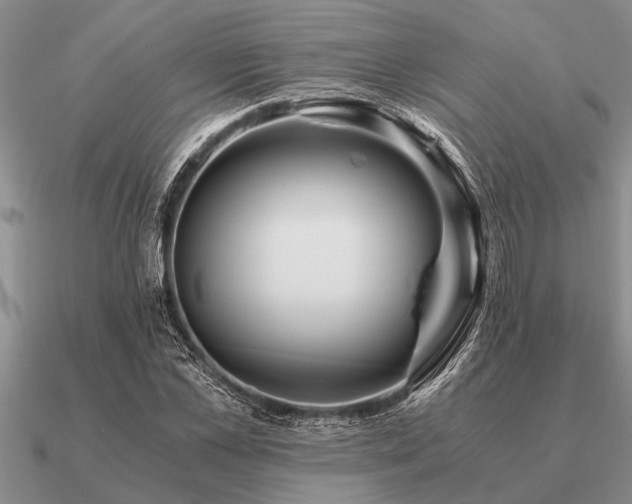 X0000091100973200708061416