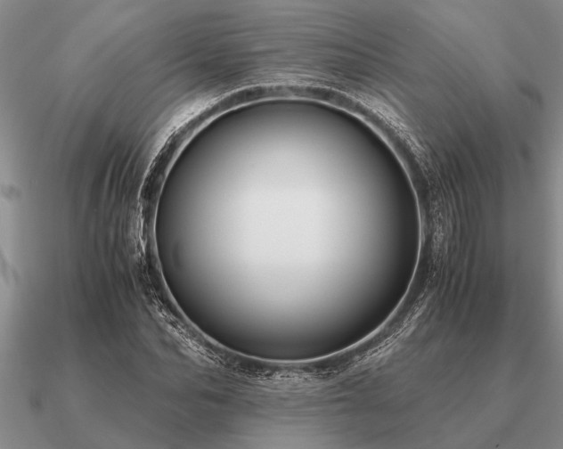 X0000091100974200708061416