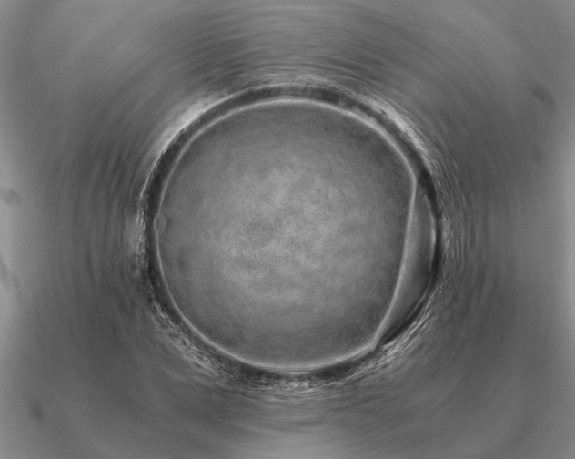 X0000091100975200708061416