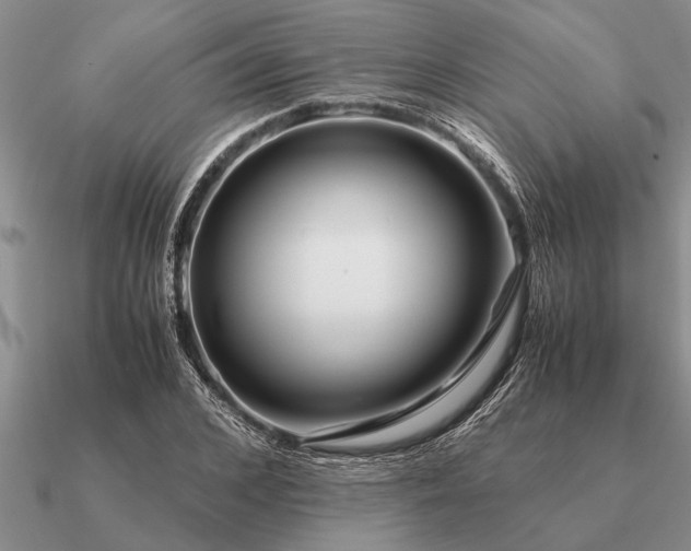 X0000091100976200708061416