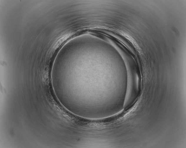 X0000091100977200708061416