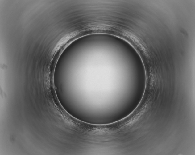 X0000091100978200708061416