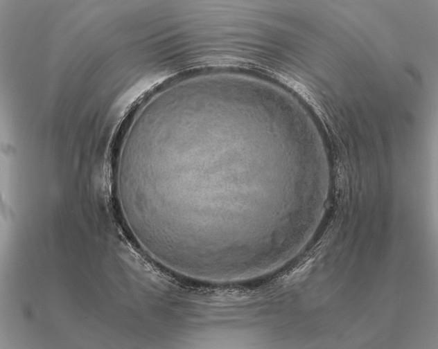 X0000091100979200708061416