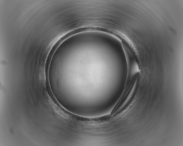 X0000091100980200708061416