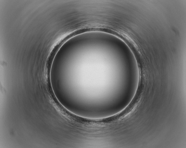 X0000091100981200708061416