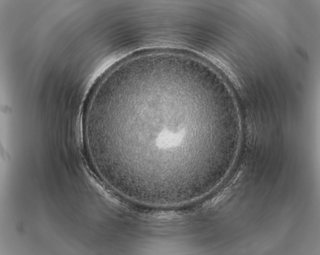 X0000091100982200708061416