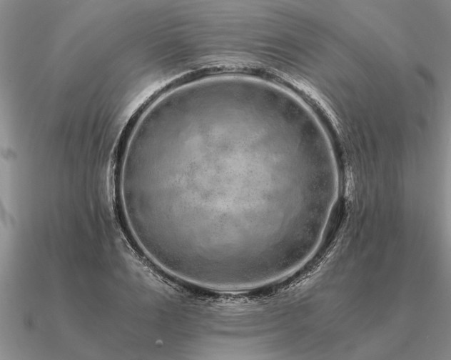 X0000091100983200708061416