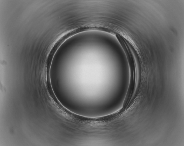 X0000091100984200708061416