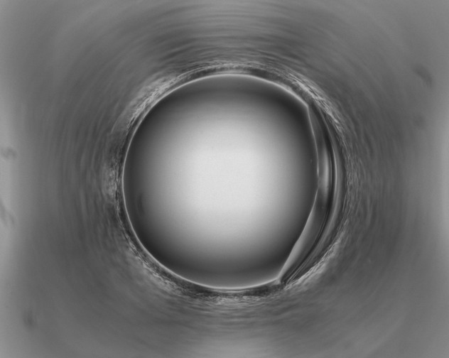 X0000091100985200708061416