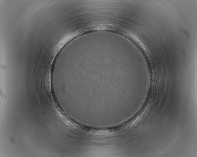 X0000091100986200708061416