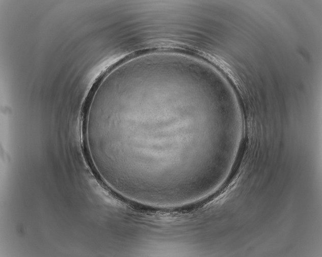 X0000091100987200708061416