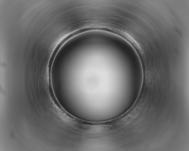 X0000091100988200708061416