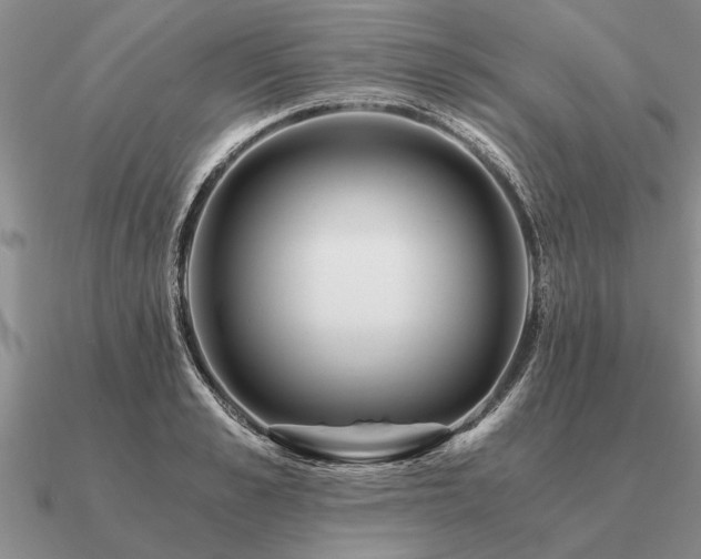 X0000091100989200708061416