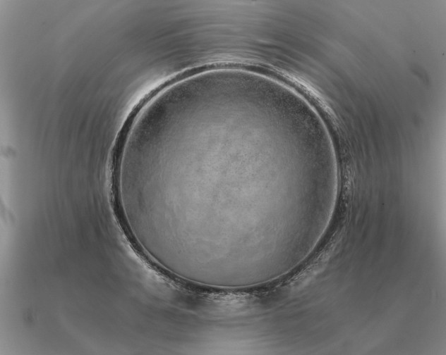 X0000091100991200708061416