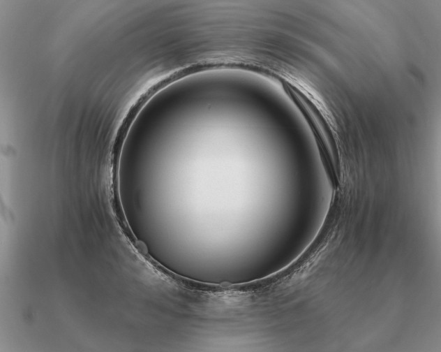 X0000091100992200708061416