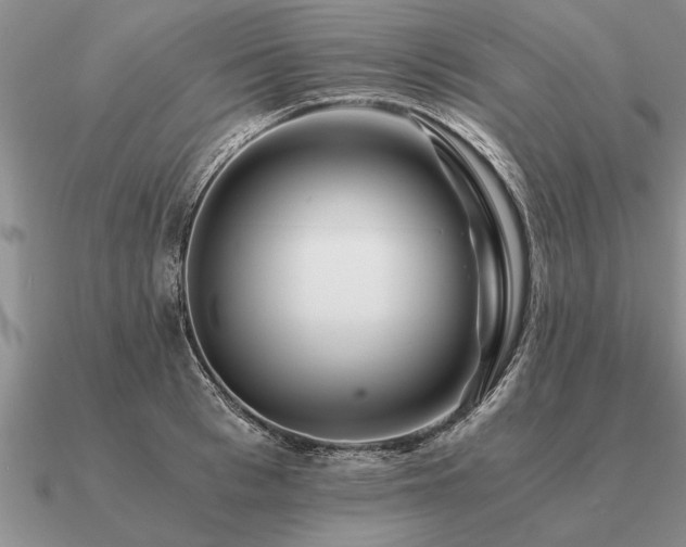 X0000091100993200708061416