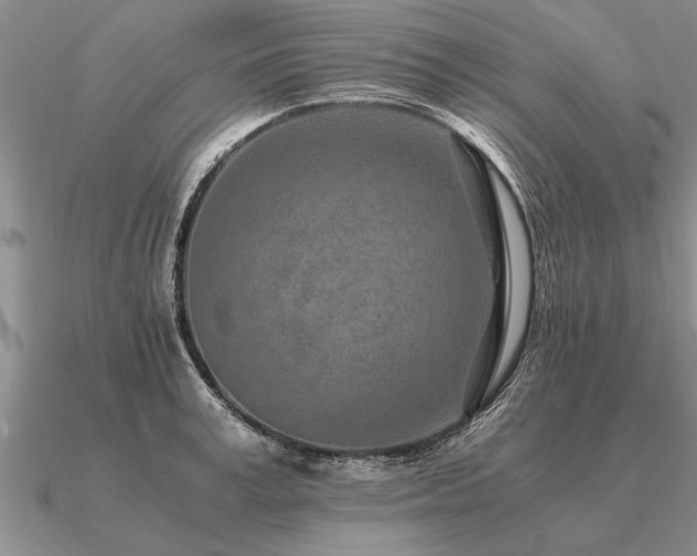 X0000091100995200708061416