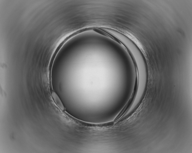 X0000091100996200708061416