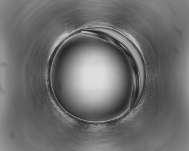 X0000091100997200708061416