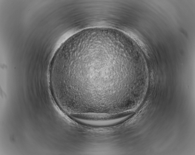 X0000091100998200708061416