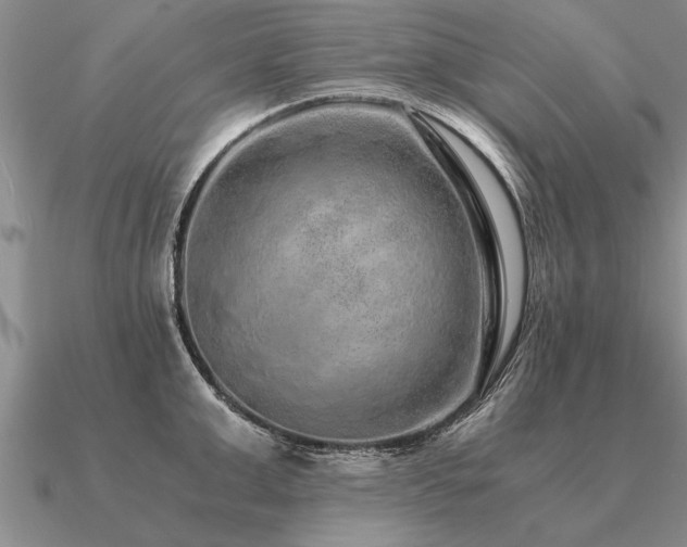 X0000091100999200708061416