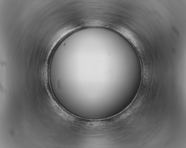 X0000091101000200708061416