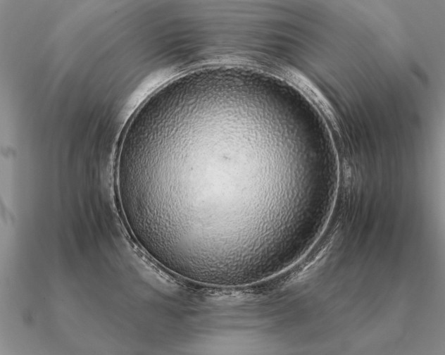 X0000091101002200708061416