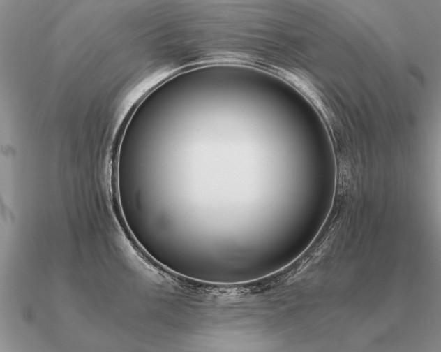 X0000091101003200708061416