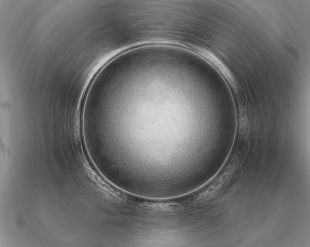 X0000091101004200708061416