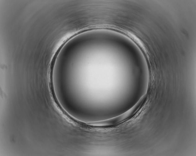 X0000091101005200708061416