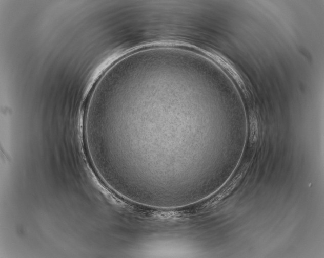 X0000091101006200708061416