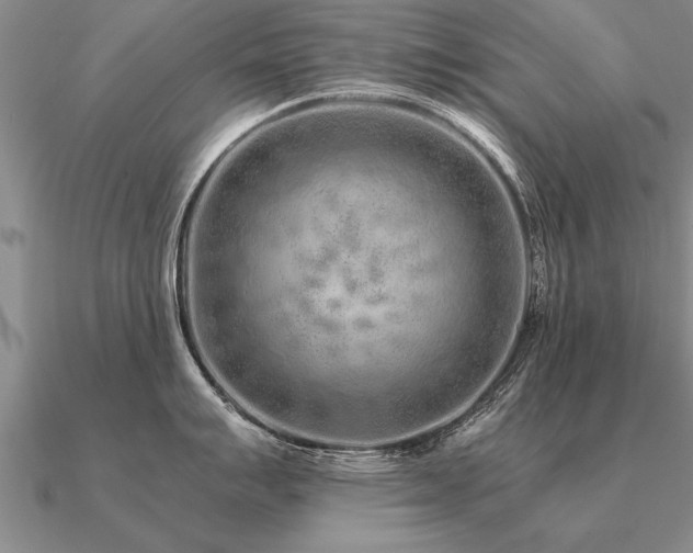 X0000091101007200708061416