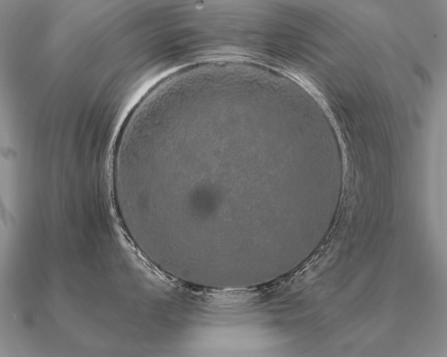 X0000091101008200708061416