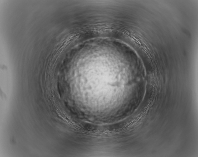 X0000091101009200708061415