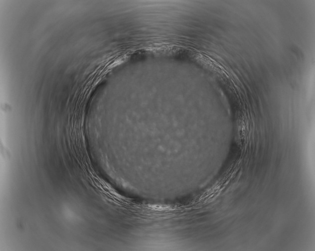 X0000091101010200708061415