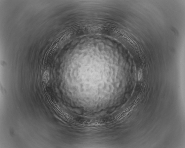 X0000091101011200708061415