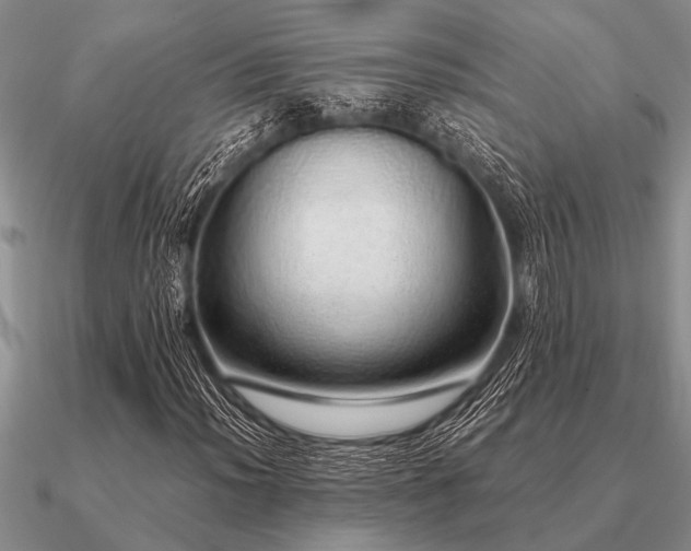 X0000091101012200708061415