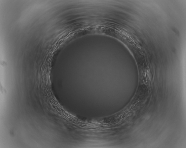 X0000091101013200708061415