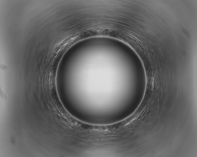 X0000091101014200708061415