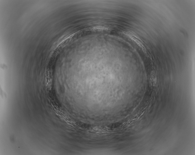 X0000091101015200708061415