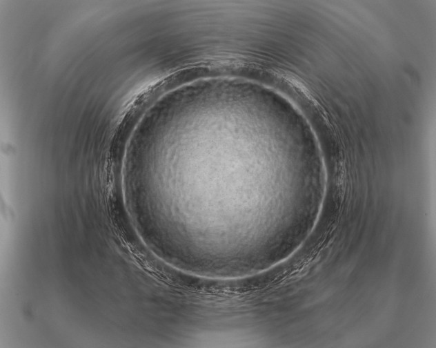 X0000091101016200708061415