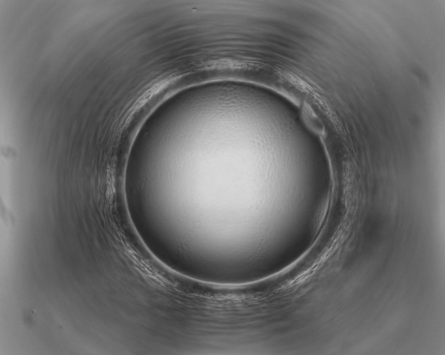 X0000091101017200708061415